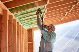 Types of Insulation We Offer in Lakeport, TX